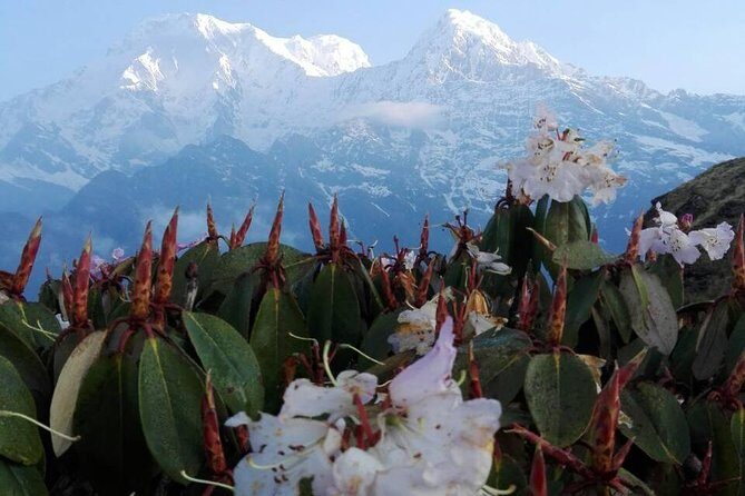 Mardi Himal Trek - 12 Days - Kathmandu to Pokhara: Scenic Flight & Lakeside Relaxation