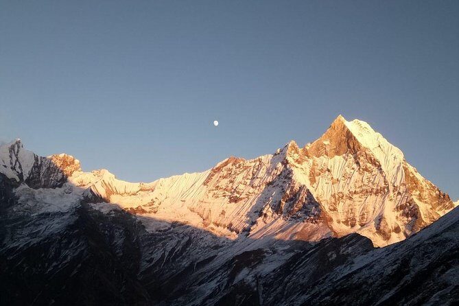 Mardi Himal Trek - An In-Depth Look at the Mardi Himal Trek