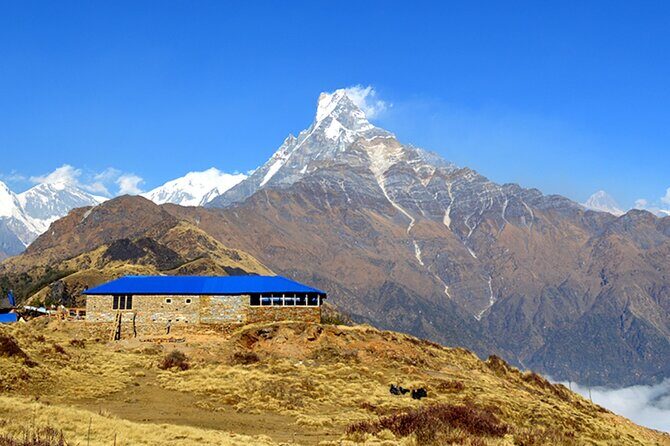Mardi Himal Trek (4500 meters) - Overview of the Mardi Himal Trek Experience