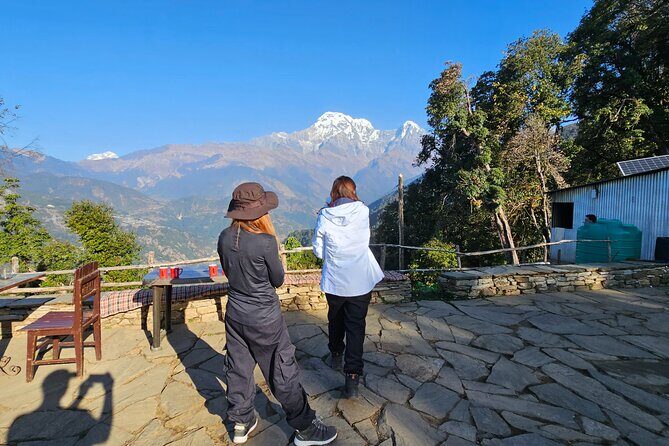 Mardi Himal Trek - An In-Depth Look at the Mardi Himal Trek