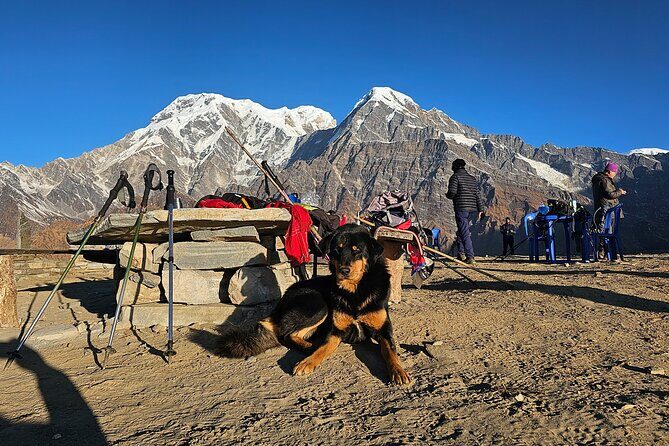 Mardi Himal Trek - FAQs