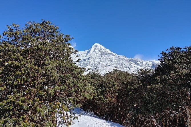 Mardi Himal Trek - Starting Point and Transportation: Easy Access from Pokhara
