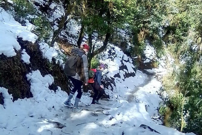 Mardi Himal Trek - Day 5: Short Trek to Siwai and Return to Pokhara