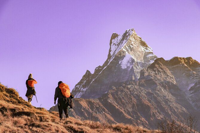 Mardi Himal Trek - What the Tour Includes and What to Keep in Mind