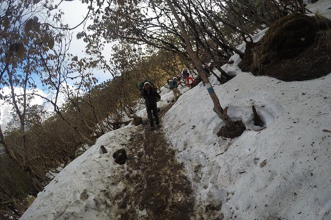 Mardi Himal Trekking - Authentic Experiences and Highlights