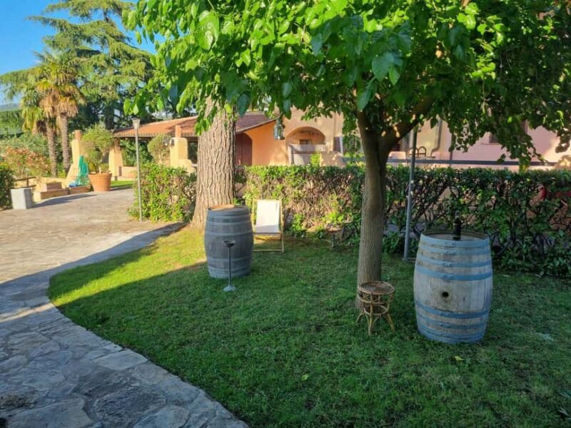 Maremma: Oil tasting with an aperitif of typical products - Key Points