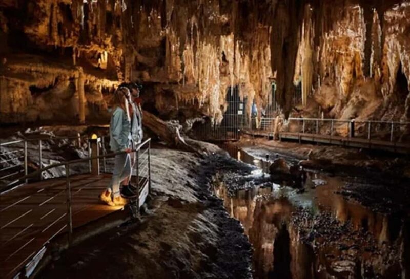 Margaret River and Busselton Jetty: Day Trip from Perth - FAQ