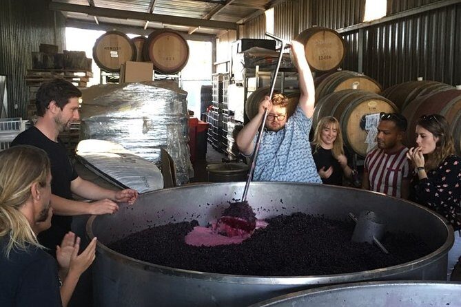 Margaret River Beer & Wine Adventure (departs Margaret River) - Introducing the Margaret River Beer & Wine Adventure: A Perfect Blend of Flavors and Fun