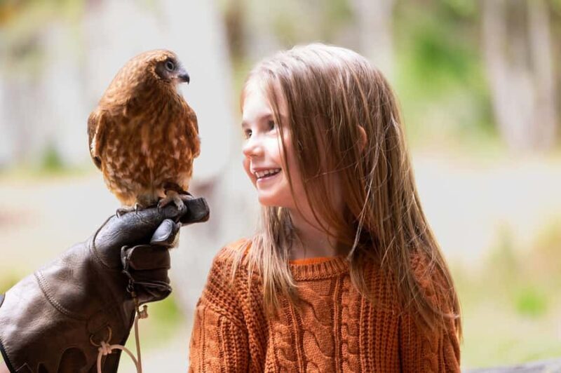 Margaret River: Birds of Prey Encounter and Forest Walk - Introduction to the Sanctuary and Its Mission