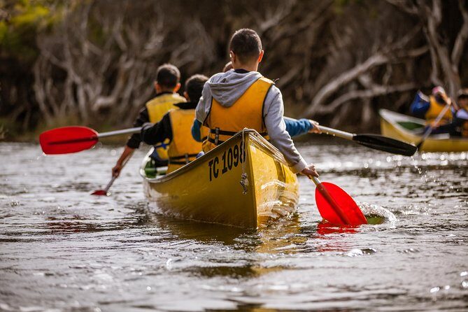Margaret River Canoe Tour Including Australian Wild Food Lunch - Key Points