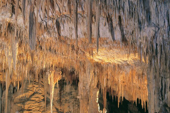 Margaret River, Caves, Wine and Cape Leeuwin Lighthouse Tour from Perth - What Could Be Better?