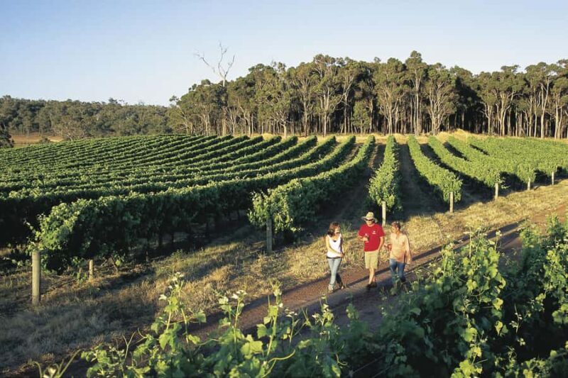 Margaret River, Chocolate, Wine & Coast Day Trip from Perth - Who Would Enjoy This Tour?