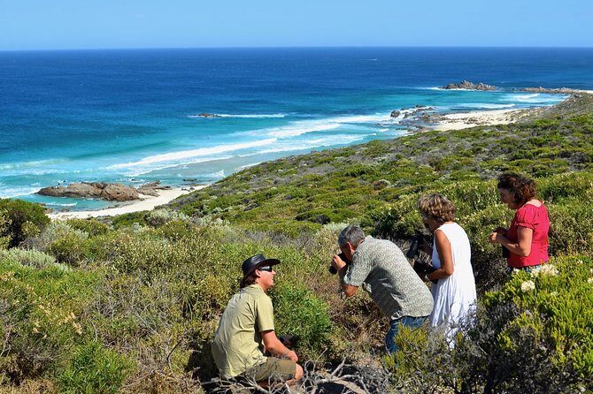 Margaret River Coastal and Wildlife Eco Trip from Busselton or Dunsborough - Discovering the Best of Margaret River’s Coast and Wildlife