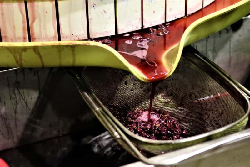 Margaret River: Customizable Guided Private Wine Tour - Who Should Consider This Tour?