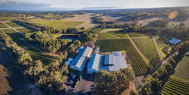 Margaret River: Full-Day Wine Tour - An In-Depth Look at the Tour Experience