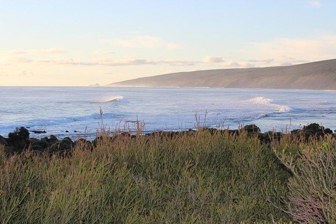 Margaret River Indulge and Discover Day Tour - Analyzing the Value