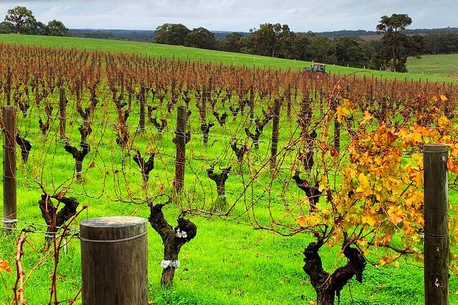 Margaret River Private Day Tours - In The Sum Up