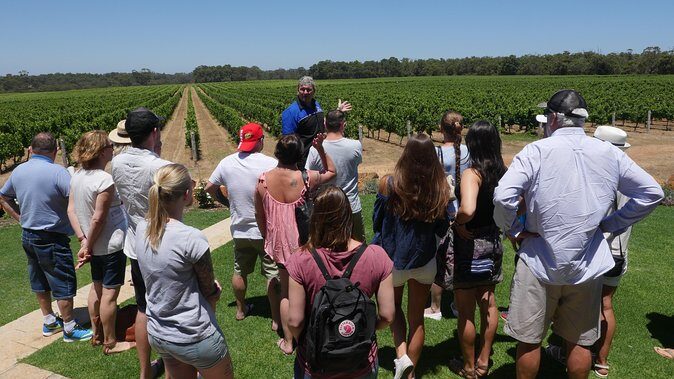 Margaret River Wine Tour: The Full Bottle - Why This Tour Offers Great Value