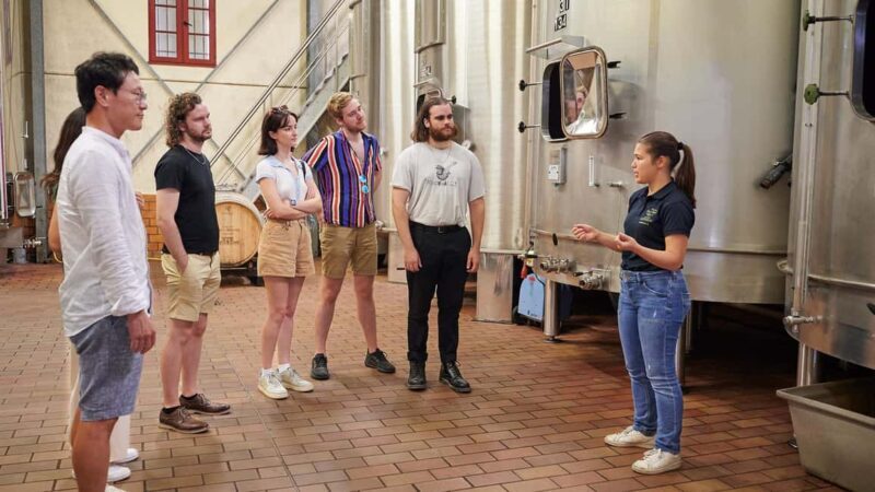 Margaux - Guided tour of the château and tasting of 4 wines - Exploring the Estate and Winemaking Facilities