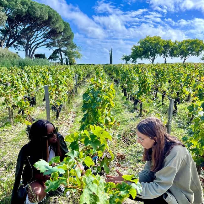 Margaux & Médoc private FULL day tour with a classic car - Frequently Asked Questions