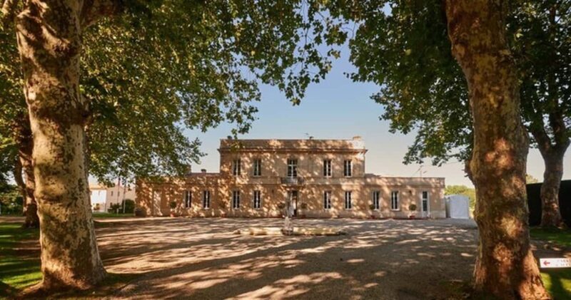 Margaux - Tasting of 4 wines - A Complete Breakdown of the Experience