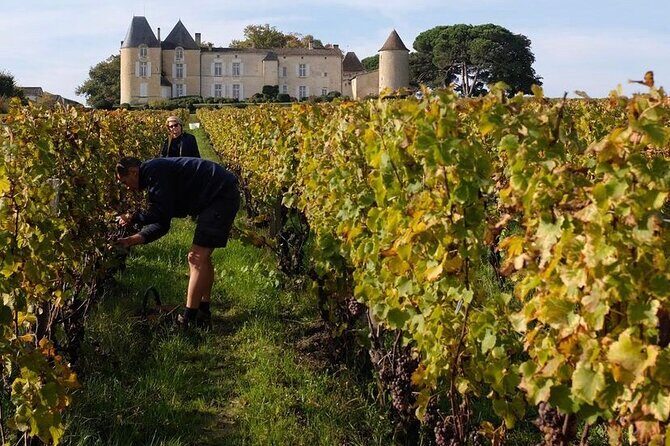 Margaux Wine Tour experience - FAQ