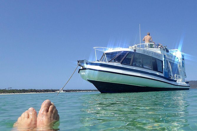 Maria Island Cruise and Guided Walk Day Tour with Lunch and Drinks - The Itinerary in Detail