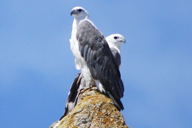 Maria Island Cruise and Guided Walk Day Tour with Lunch and Drinks - FAQs