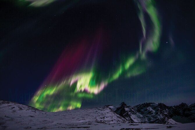 Mariannes Heaven On Earth Aurora Chaser Tours - Who Will Love This Tour?