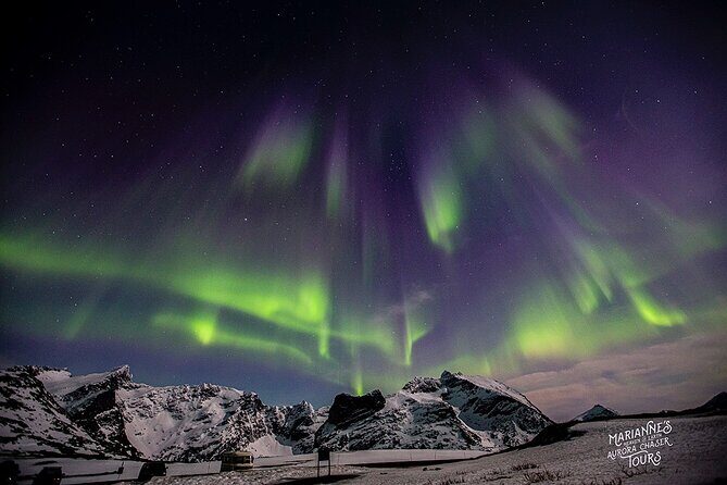 Mariannes Heaven On Earth Aurora Chaser Tours - The Sum Up