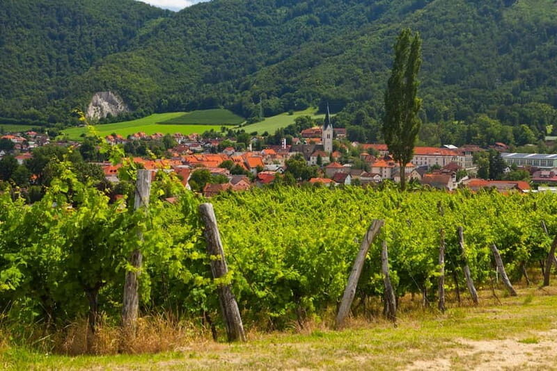 Maribor & Styria Tour with Wine Tasting - Key Points