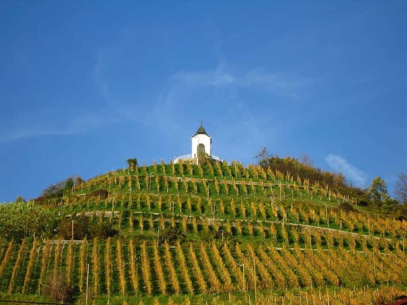 Maribor & Styria Tour with Wine Tasting - Who Will Love This Tour?