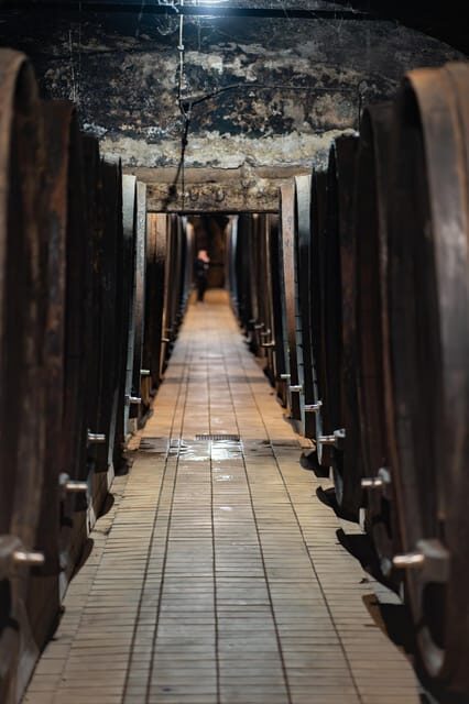 Maribor: Vinag Wine Cellar Tour with Wine tasting and snacks - A Deep Dive into the Vinag Wine Cellar Tour