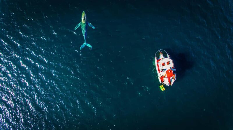 Marietas Islands Boat Tour: Snorkel, Kayak, Playa Nopalera - Introduction: An Adventure for Water Lovers