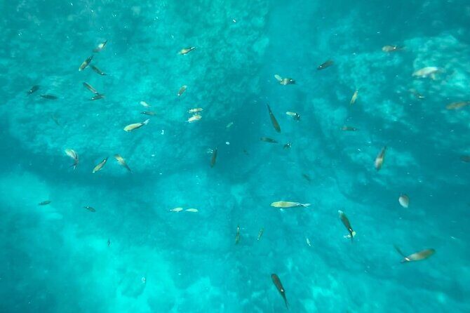 Marietas Islands PRIVATE for 2 px hidden beach 100% GUARANTEED - Return and Reflection