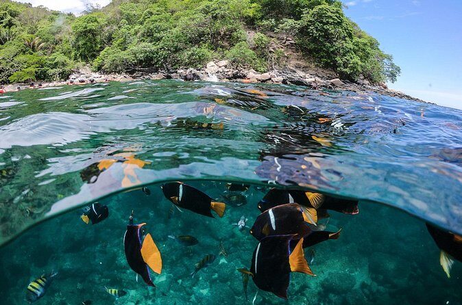 Marietas Islands Sailing Private Tour - 8 Hours of Paradise - Frequently Asked Questions