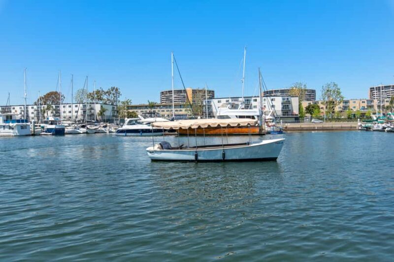 Marina del Rey Duffy Picnic Cruise on the Water w Sea Lions - Key Points