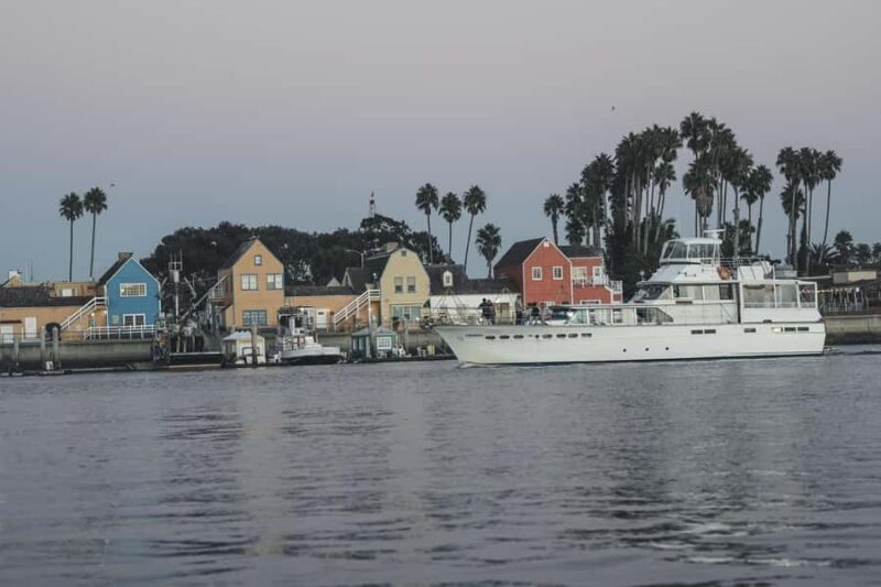 Marina del Rey Duffy Picnic Cruise on the Water w Sea Lions - Who Will Love This Experience?