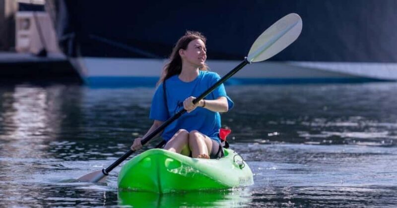 Marina del Rey: Guided Kayak & Paddleboard Tour - Key Points