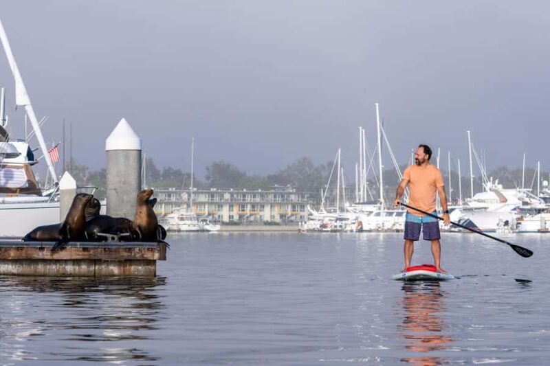 Marina del Rey: Guided Kayak & Paddleboard Tour - The Value of the Experience