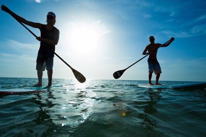 Marina del Rey Paddleboard Tour - What to Expect from the Marina del Rey Paddleboard Tour