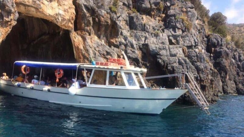 Marina di Camerota: boat tour in Baia Infreschi - What Makes This Boat Tour Stand Out?