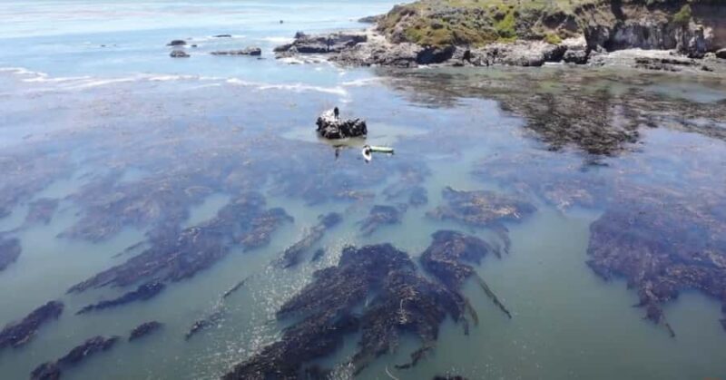 Marina Way: Kayaking Adventure with TV Star Gary Golding - Key Points