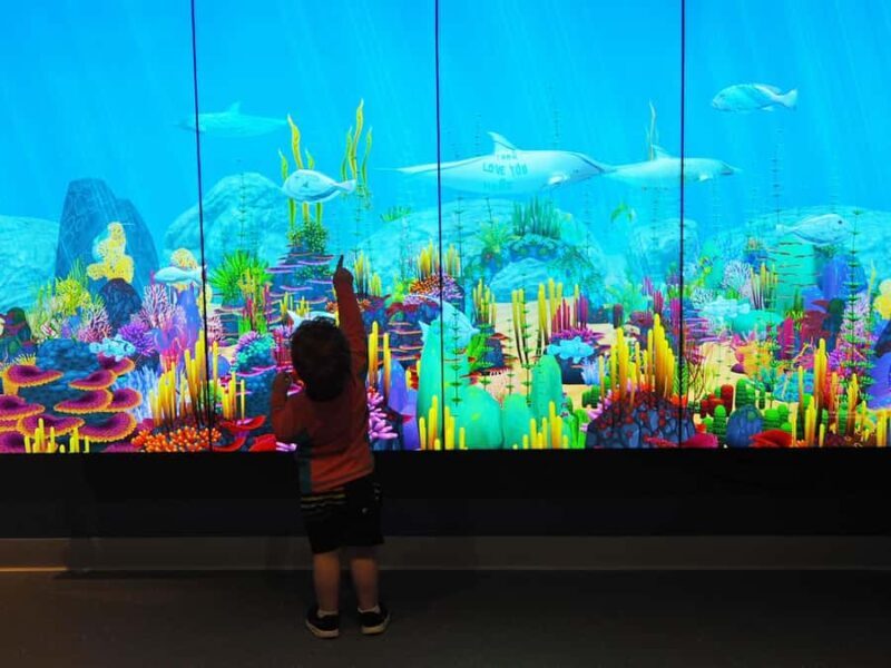 Marine Discovery Centre - Key Points