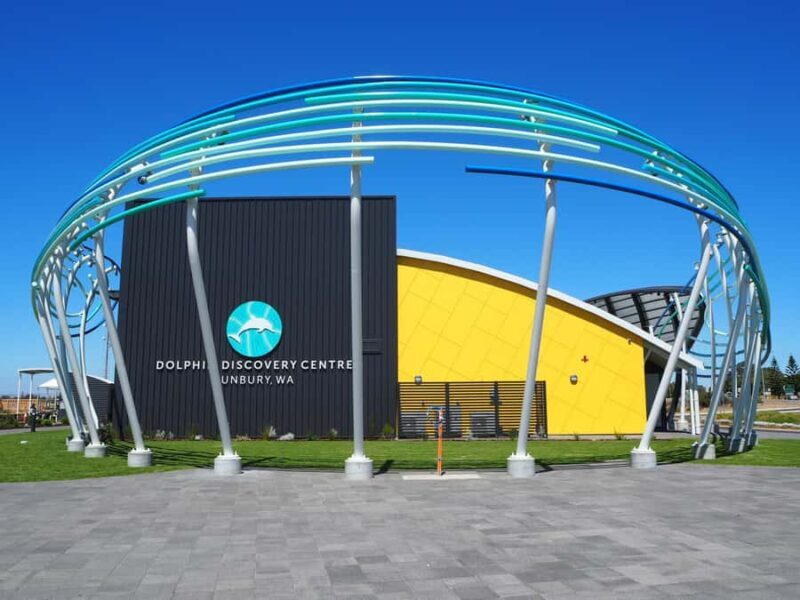 Marine Discovery Centre - An In-Depth Look at the Marine Discovery Centre Experience