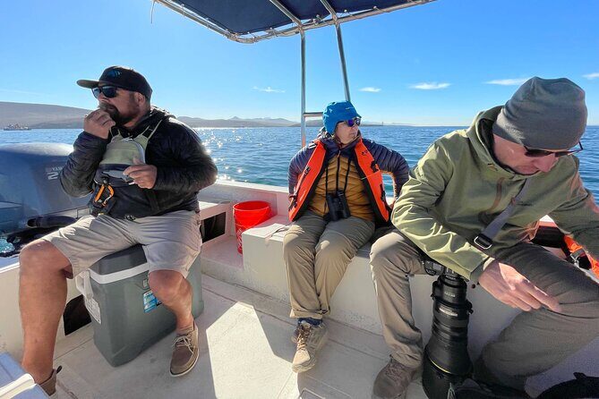 Marine Ecology Tour in La Paz Mexico - FAQs