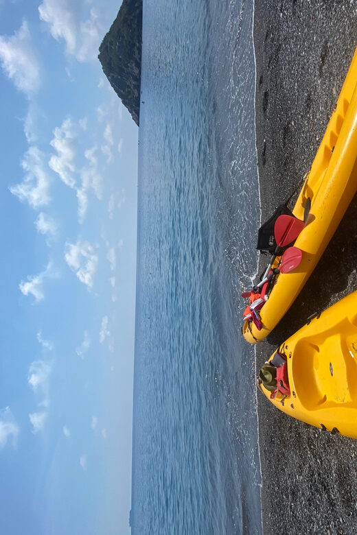 Marine Park of Bergeggi Island: Guided Kayak Tour - The Experience: From Paddling to Learning