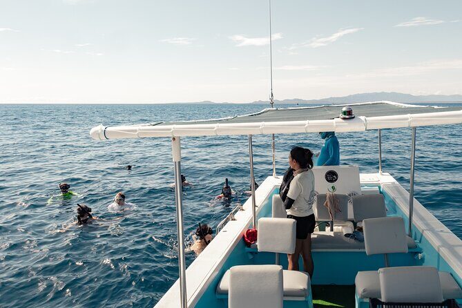 Marine Safari in La Ventana - The Voyage into La Ventana Bay