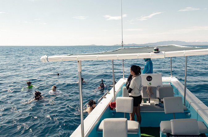 Marine Safari in La Ventana - Observing Marine Fauna in the Wild