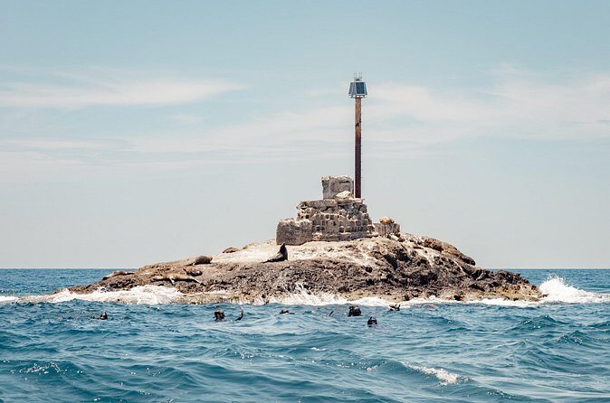 Marine Safari in La Ventana - Duration and Group Dynamics